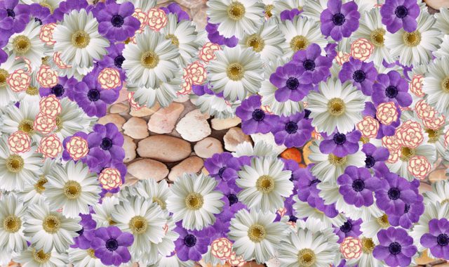 Flores Flotantes