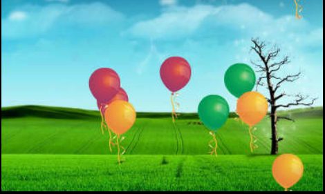Globos en el Campo