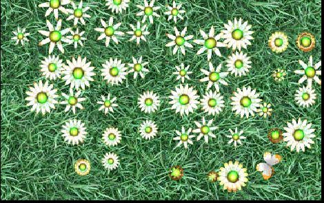Flores y Mariposas